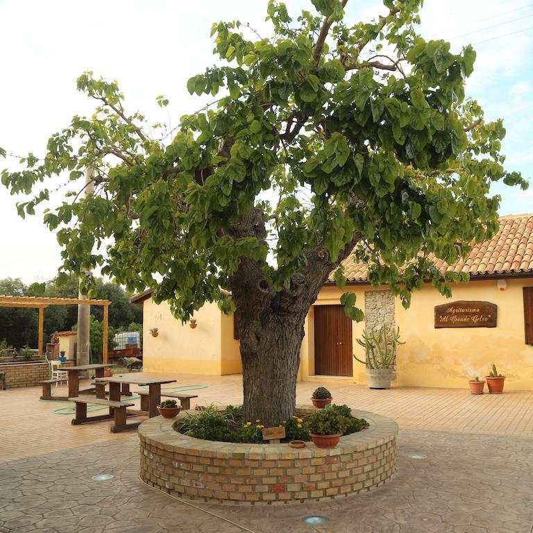 Al Grande Gelso Vila Cariati Exterior foto